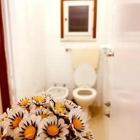 L'anima Del Viaggio * Rimini